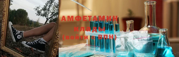 ПСИЛОЦИБИНОВЫЕ ГРИБЫ Абаза